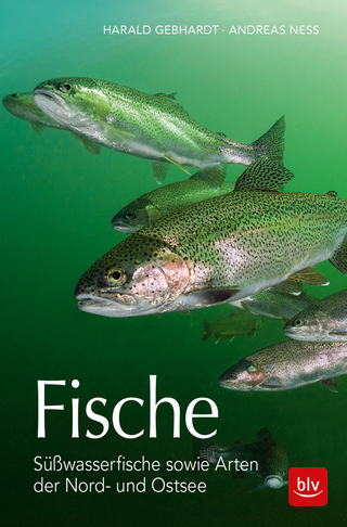 Fische - Harald Gebhardt; Andreas Ness