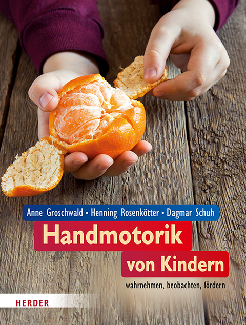 Handmotorik von Kindern - Anne Groschwald, Henning Rosenkötter, Dagmar Schuh