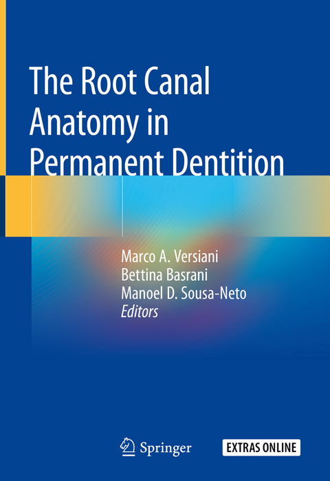 The Root Canal Anatomy in Permanent Dentition - 