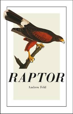 Raptor - Feld Andrew Feld