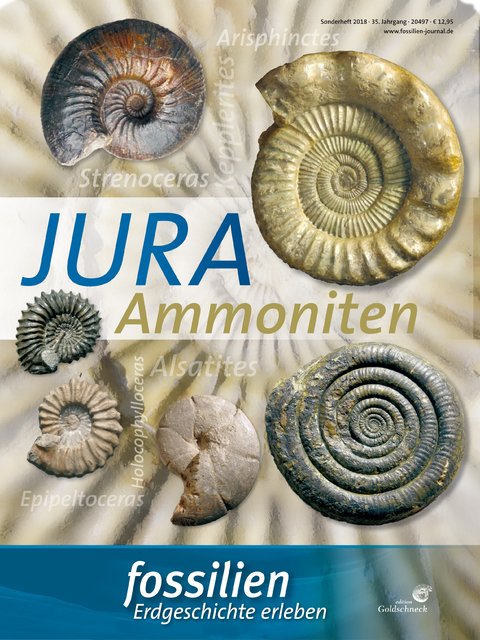 Fossilien Sonderheft "Jura-Ammoniten" - Günter Schweigert