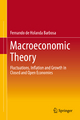 Macroeconomic Theory by Fernando De Holanda Barbosa Hardcover | Indigo Chapters