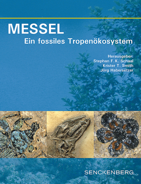 MESSEL - Ein fossiles Tropenökosystem - 