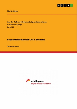 Sequential Financial Crisis Scenario - Moritz Meyer