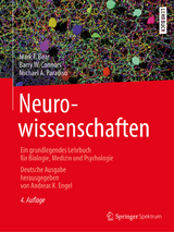 Neurowissenschaften - Bear, Mark F.; Engel, Andreas K.; Connors, Barry W.; Paradiso, Michael A.