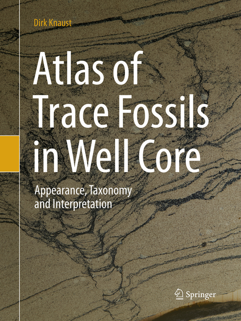 Atlas of Trace Fossils in Well Core - Dirk Knaust