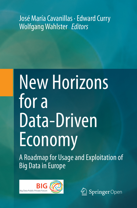 New Horizons for a Data-Driven Economy - 