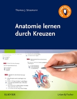 Anatomie lernen durch Kreuzen - Thomas J. Strasmann