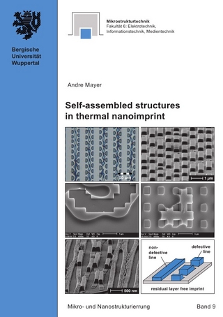 Mikro- und Nanostrukturierung / Self-assembled structures in thermal nanoimprint - Andre Mayer