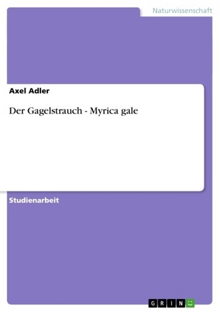 Der Gagelstrauch - Myrica gale - Axel Adler