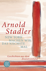 New York machen wir das nächste Mal - Arnold Stadler