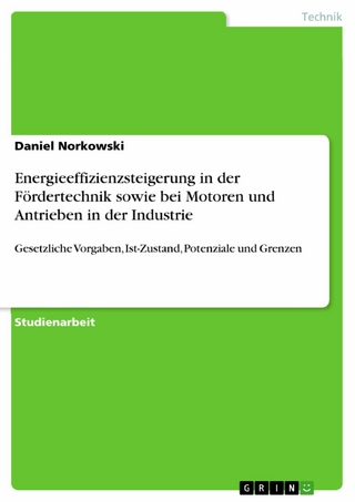 Energieeffizienzsteigerung in der Fördertechnik sowie bei Motoren und Antrieben in der Industrie - Daniel Norkowski