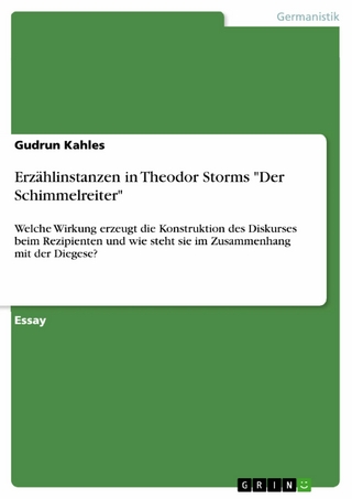 Erzählinstanzen in Theodor Storms 'Der Schimmelreiter' - Gudrun Kahles