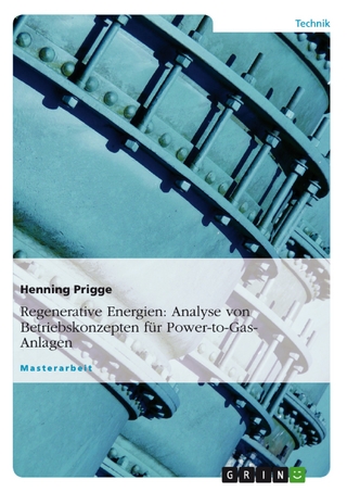 Regenerative Energien: Analyse von Betriebskonzepten für Power-to-Gas-Anlagen - Henning Prigge