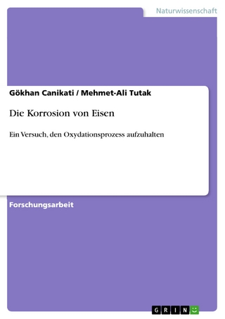 Die Korrosion von Eisen - Gökhan Canikati; Mehmet-Ali Tutak