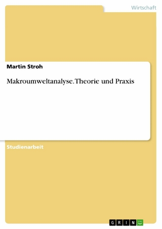 Makroumweltanalyse. Theorie und Praxis - Martin Stroh
