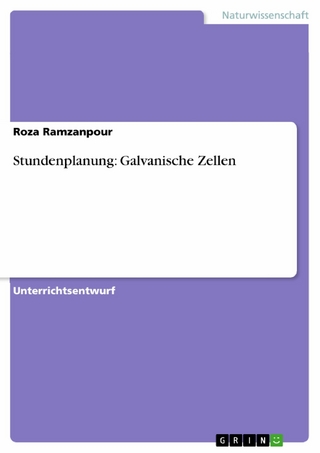 Stundenplanung: Galvanische Zellen - Roza Ramzanpour