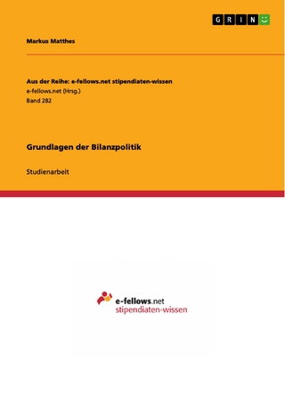 Grundlagen der Bilanzpolitik - Markus Matthes