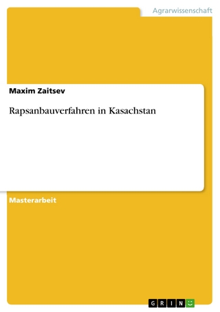 Rapsanbauverfahren in Kasachstan - Maxim Zaitsev