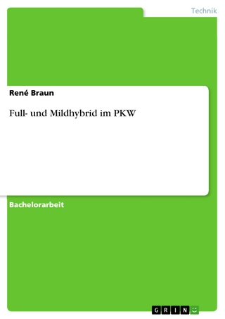 Full- und Mildhybrid im PKW - René Braun