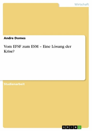 Vom EFSF zum ESM - Eine Lösung der Krise? - Andre Domes