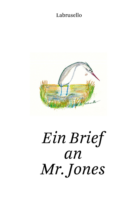 Ein Brief an Mr. Jones - (Autor) Labrusello
