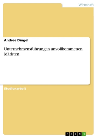 Unternehmensführung in unvollkommenen Märkten - Andree Dingel