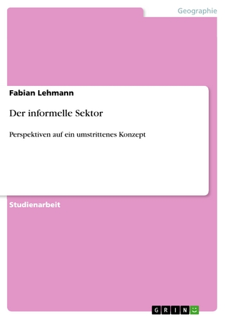 Der informelle Sektor - Fabian Lehmann