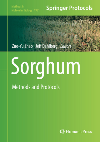Sorghum - Zuo-Yu Zhao; Jeff Dahlberg