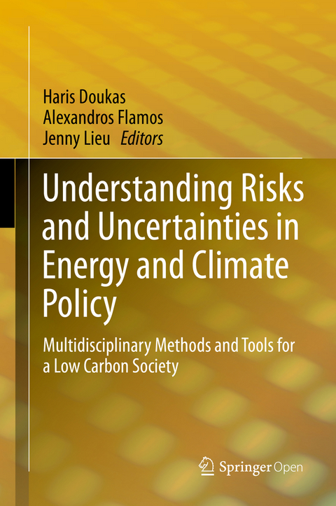 Understanding Risks and Uncertainties in Energy and Climate Policy - 