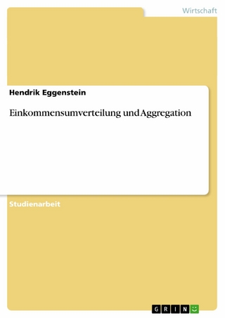 Einkommensumverteilung und Aggregation - Hendrik Eggenstein