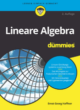 Lineare Algebra für Dummies - Ernst Georg Haffner