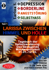 DEPRESSION - BORDERLINE - ANGSTSTÖRUNG - SELBSTHASS Teil 1: Larissa zwischen Himmel und Hölle - Tagebuch der Selbstzerstörung - Larissa S.