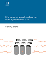 Lithium-ion battery cells and systems under dynamic electric loads - Martin Brand