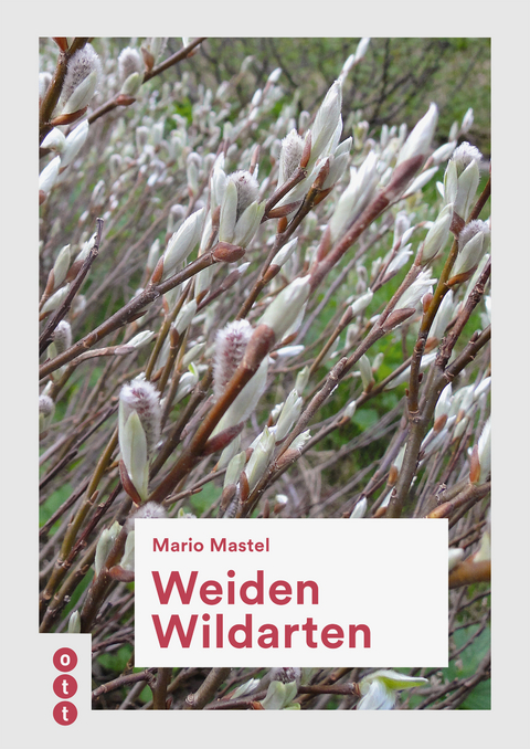 Weiden Wildarten - Mario Mastel