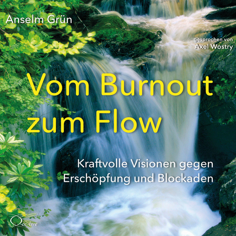 Vom Burnout zum Flow - Anselm Grün