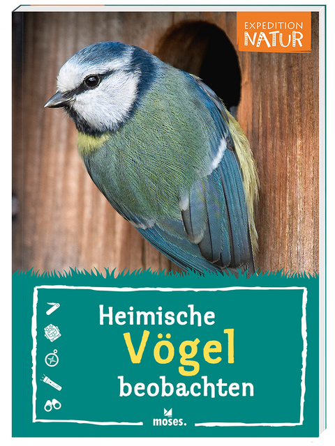 Expedition Natur: Heimische Vögel beobachten - Bärbel Oftring