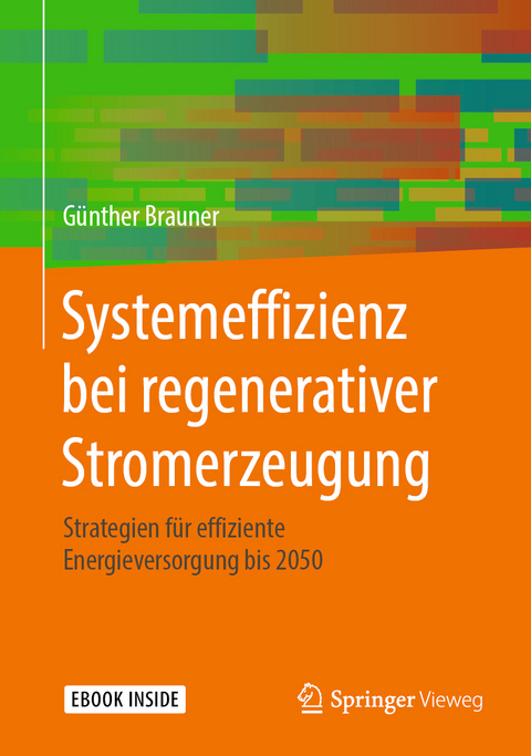 Systemeffizienz bei regenerativer Stromerzeugung - Günther Brauner