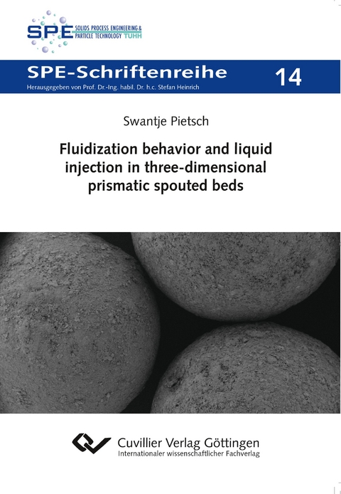 Fluidization behavior and liquid injection in three-dimensional prismatic spouted beds - Swantje Pietsch