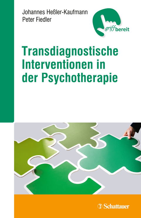 Transdiagnostische Interventionen in der Psychotherapie - Johannes B. Heßler, Peter Fiedler