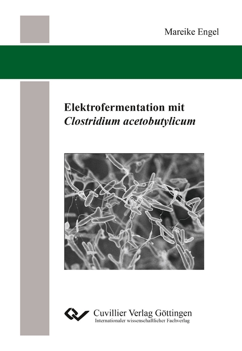 Elektrofermentation mit Clostridium acetobutylicum - Mareike Engel