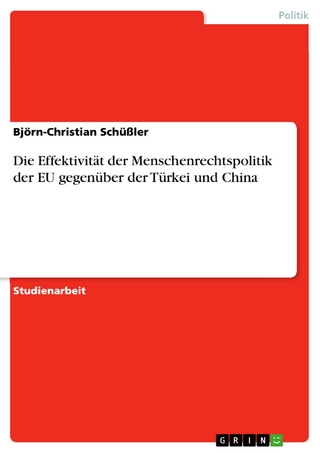 Die Effektivität der Menschenrechtspolitik der EU gegenüber der Türkei und China - Björn-Christian Schüßler