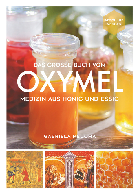 Das große Buch vom OXYMEL - Gabriela Nedoma