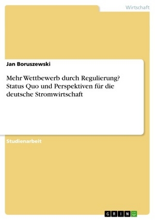 Mehr Wettbewerb durch Regulierung? Status Quo und Perspektiven für die deutsche Stromwirtschaft - Jan Boruszewski