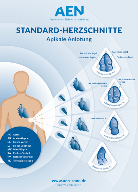 Standard-Herzschnitte Echokardiografie, Poster - 