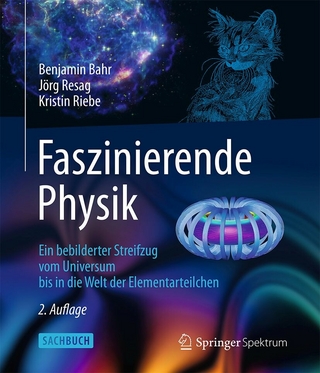 Faszinierende Physik - Benjamin Bahr; Jörg Resag; Kristin Riebe