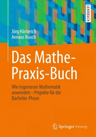 Das Mathe-Praxis-Buch - Jörg Härterich; Aeneas Rooch