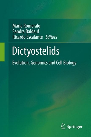 Dictyostelids - Maria Romeralo; Maria Romeralo; Sandra Baldauf; Sandra Baldauf; Ricardo Escalante; Ricardo Escalante