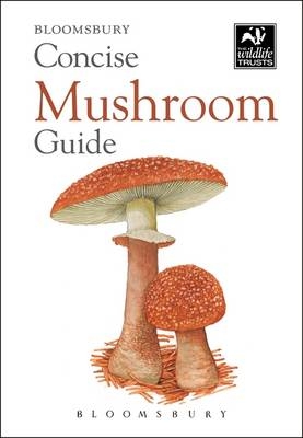 Concise Mushroom Guide -  Bloomsbury Bloomsbury