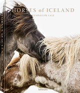 Horses of Iceland - Guadalupe Laiz